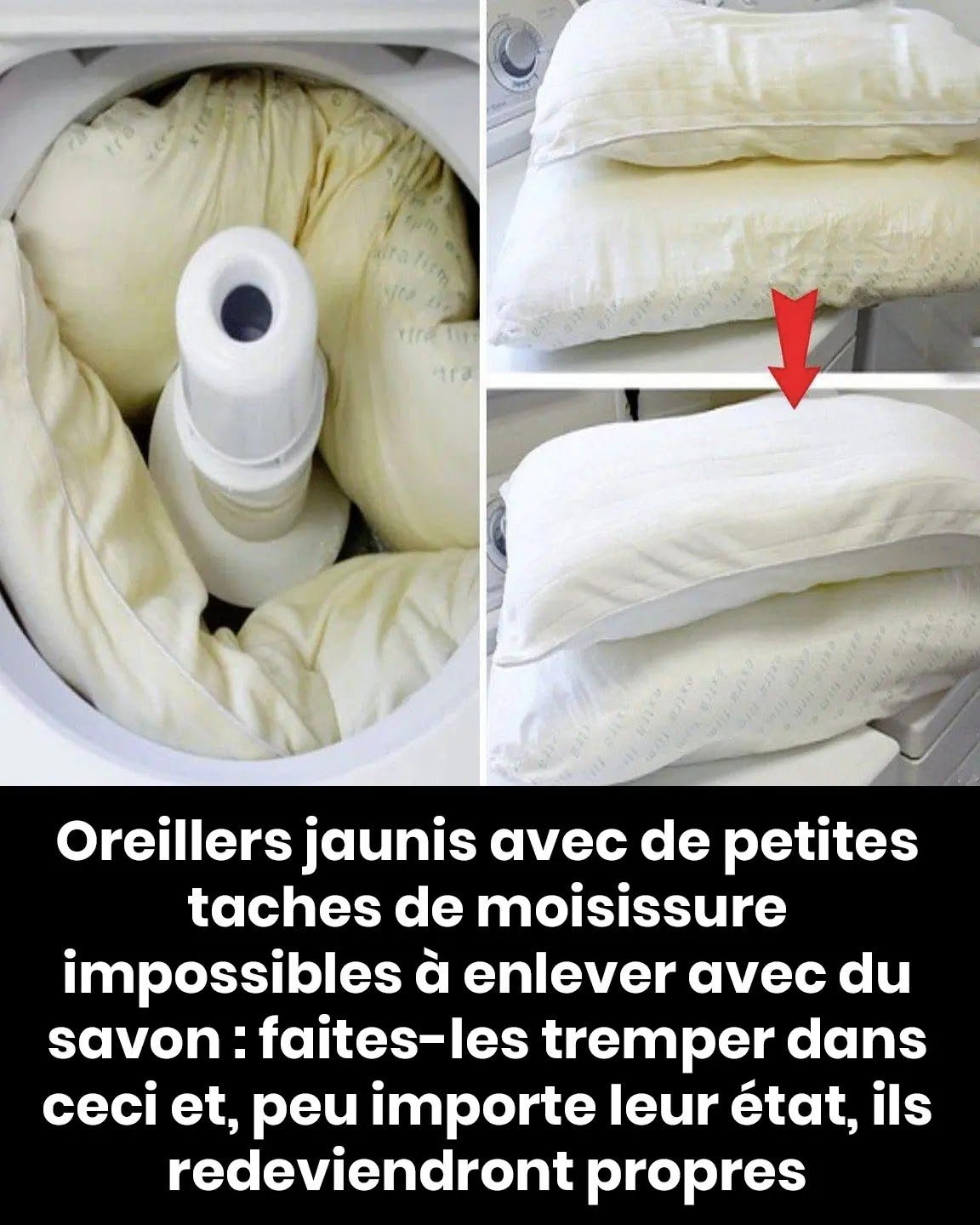 Conseils pour nettoyer les oreillers jaunis présentant de petites taches de moisissure