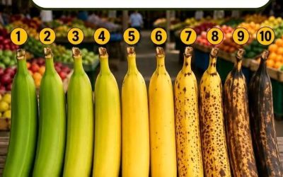 Savez-vous laquelle de ces sept bananes est la meilleure pour vous et votre santé