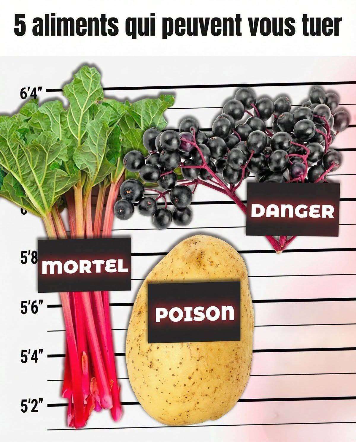 5 aliments qui peuvent vous tuer (mais vous l'ignorez)