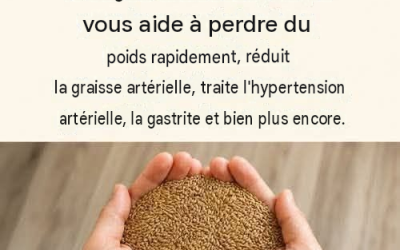 Eau de graines pour oiseaux : peut-elle contribuer à réguler la glycémie et à améliorer la santé globale ?